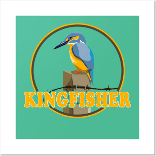 Kingfisher Posters and Art